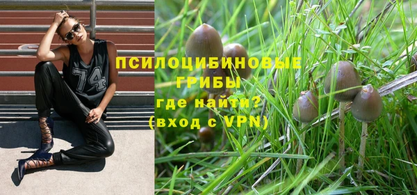 Альфа ПВП Армянск