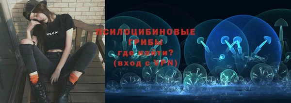трава Арсеньев