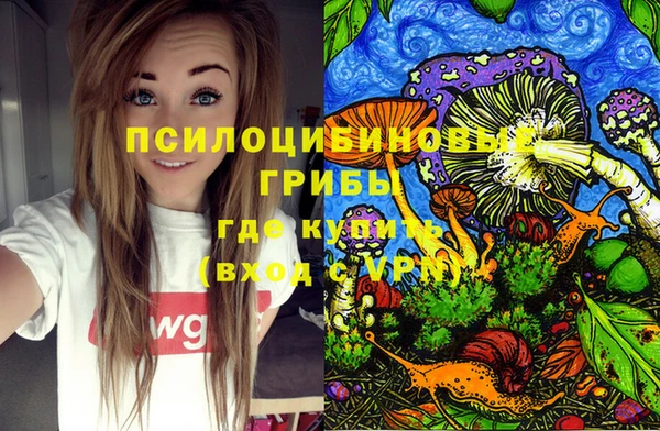 а пвп мука Бугульма