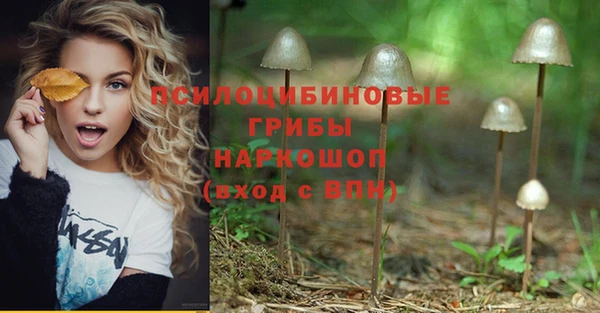 Альфа ПВП Армянск