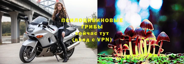 Альфа ПВП Армянск