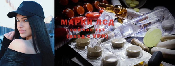 трава Арсеньев